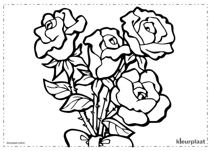 Bloemen vier rode rozen met doornen