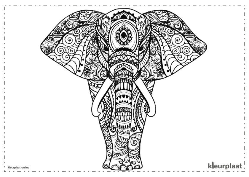 Mandala kleurplaat olifanten tekenen